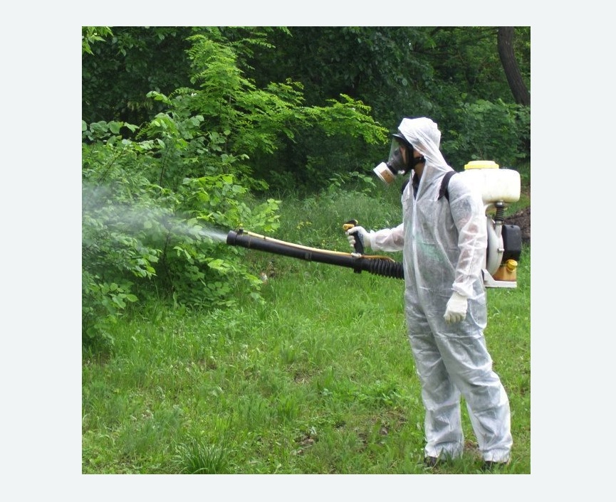 обработка дачи от клещей обработка территории от клещей в Басманном районе Москвы