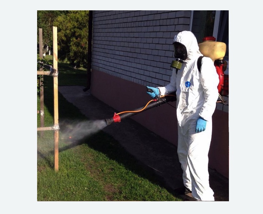 уничтожение клещей на участке травля клещей на участке в Басманном районе Москвы