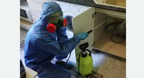 Уничтожение муравьев в квартире. Басманный район
