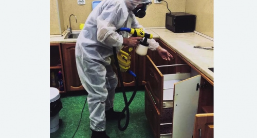 Дезинсекция квартиры. Басманный район