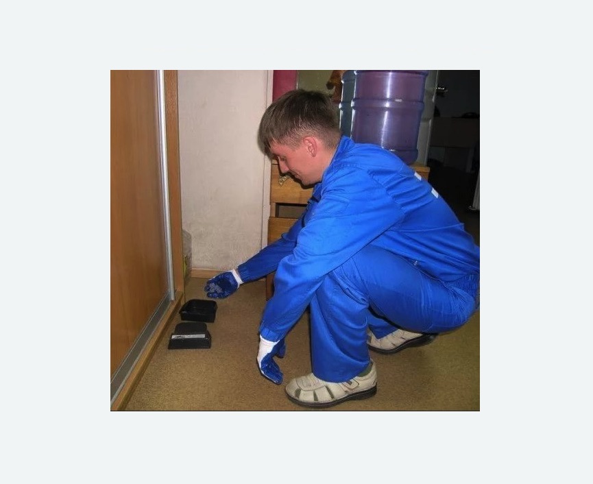 Дератизация крыс в Басманном районе Москвы