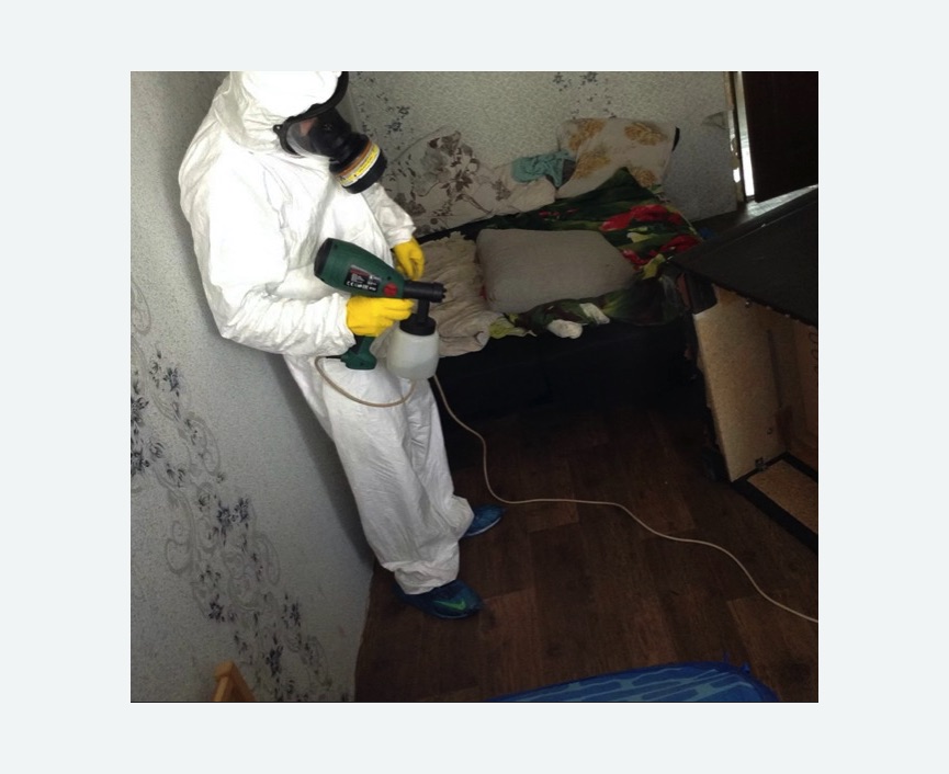 Обработка от насекомых в Басманном районе Москвы Обработка квартиры от насекомых