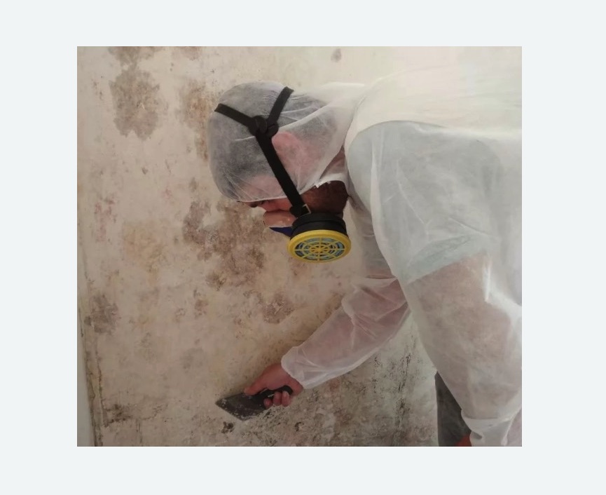 Обработка стен от плесени в Басманном районе Москвы