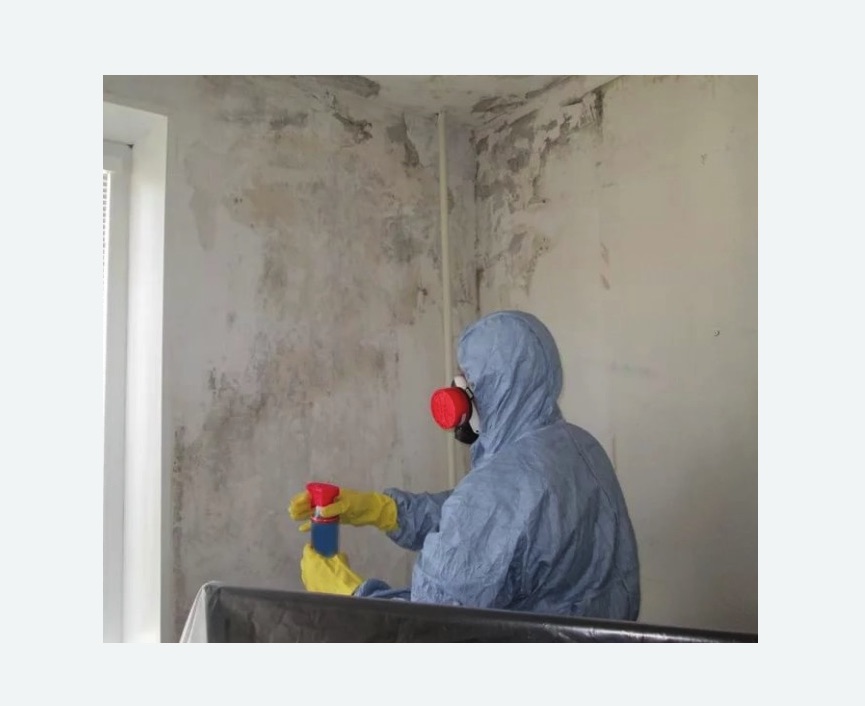 Удаление плесени в квартире в Басманном районе Москвы