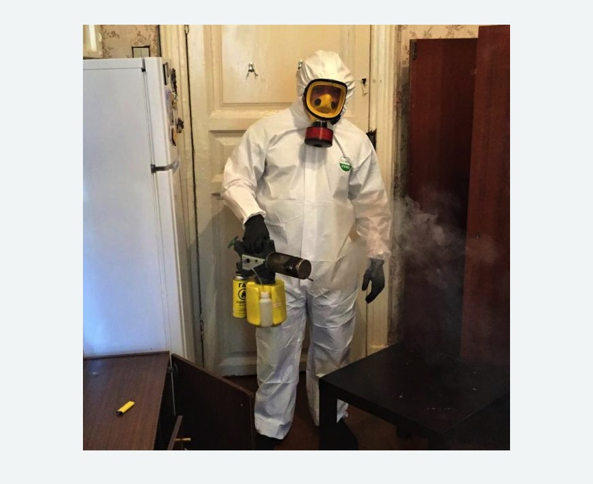 уничтожение муравьев в квартире в Басманном районе Москвы